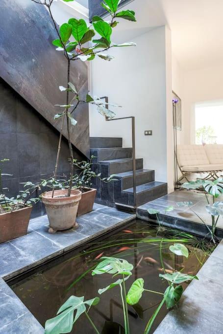 Elegante Duplex Centro Sevilla Matahacas 1 Экстерьер фото